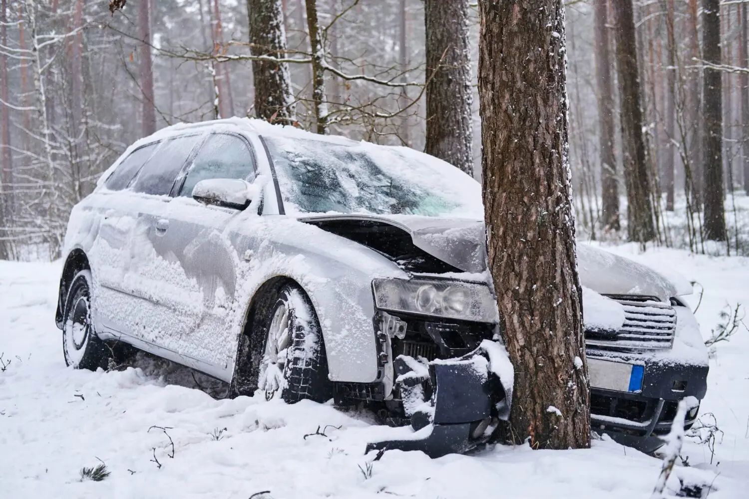 Vehicle crashed into a tree requiring professional accident recovery